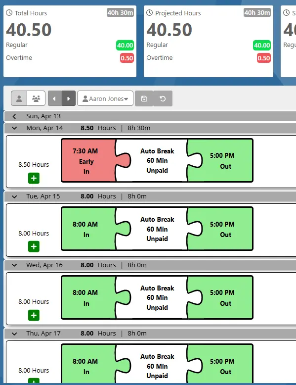 graphical time card view of punches