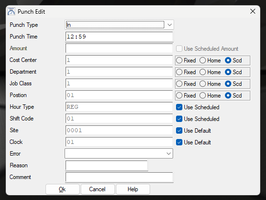 Insert Punch screen in TimeTrak Enterprise